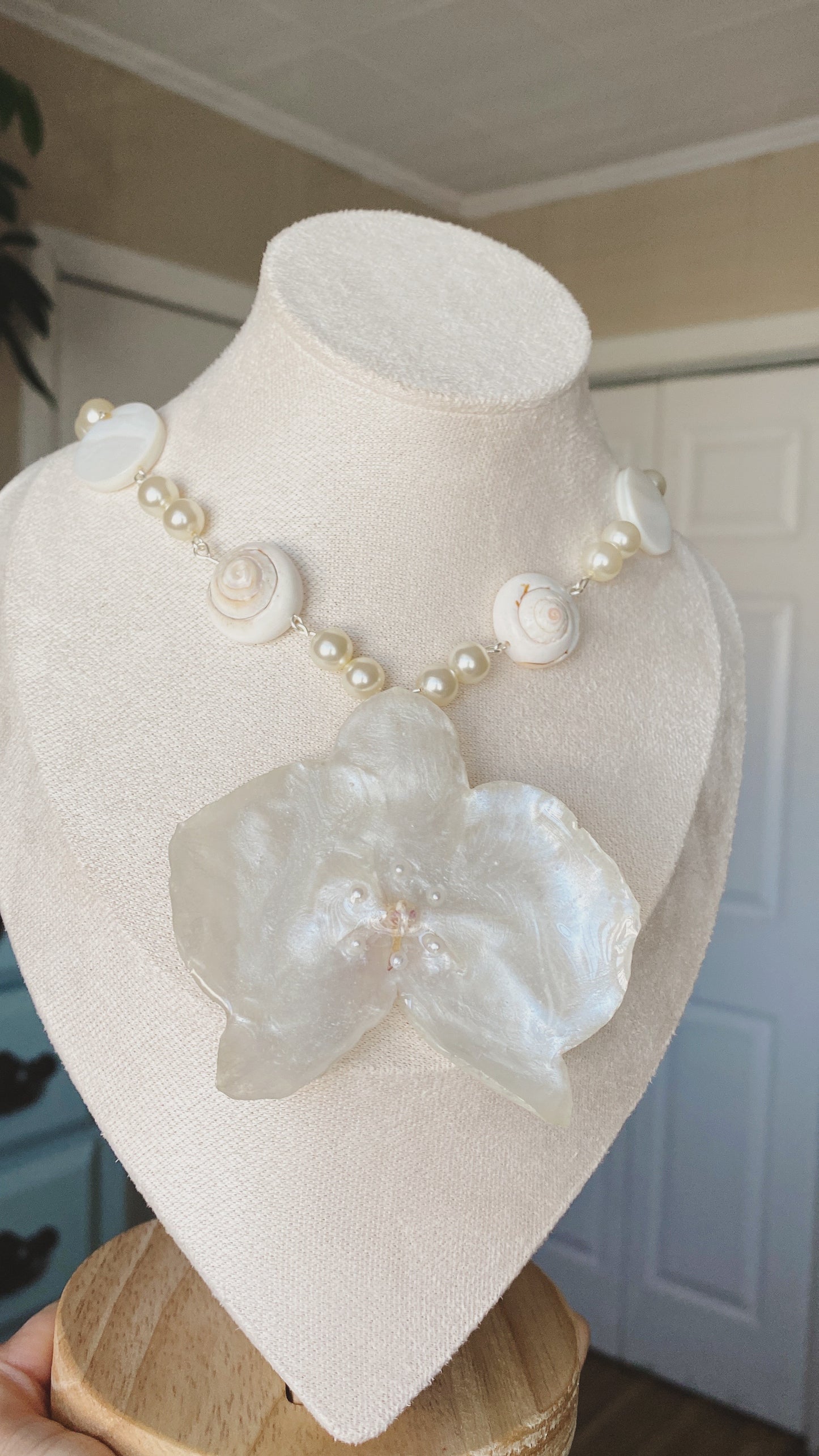 Conchitas y Perlas🌸 🐚