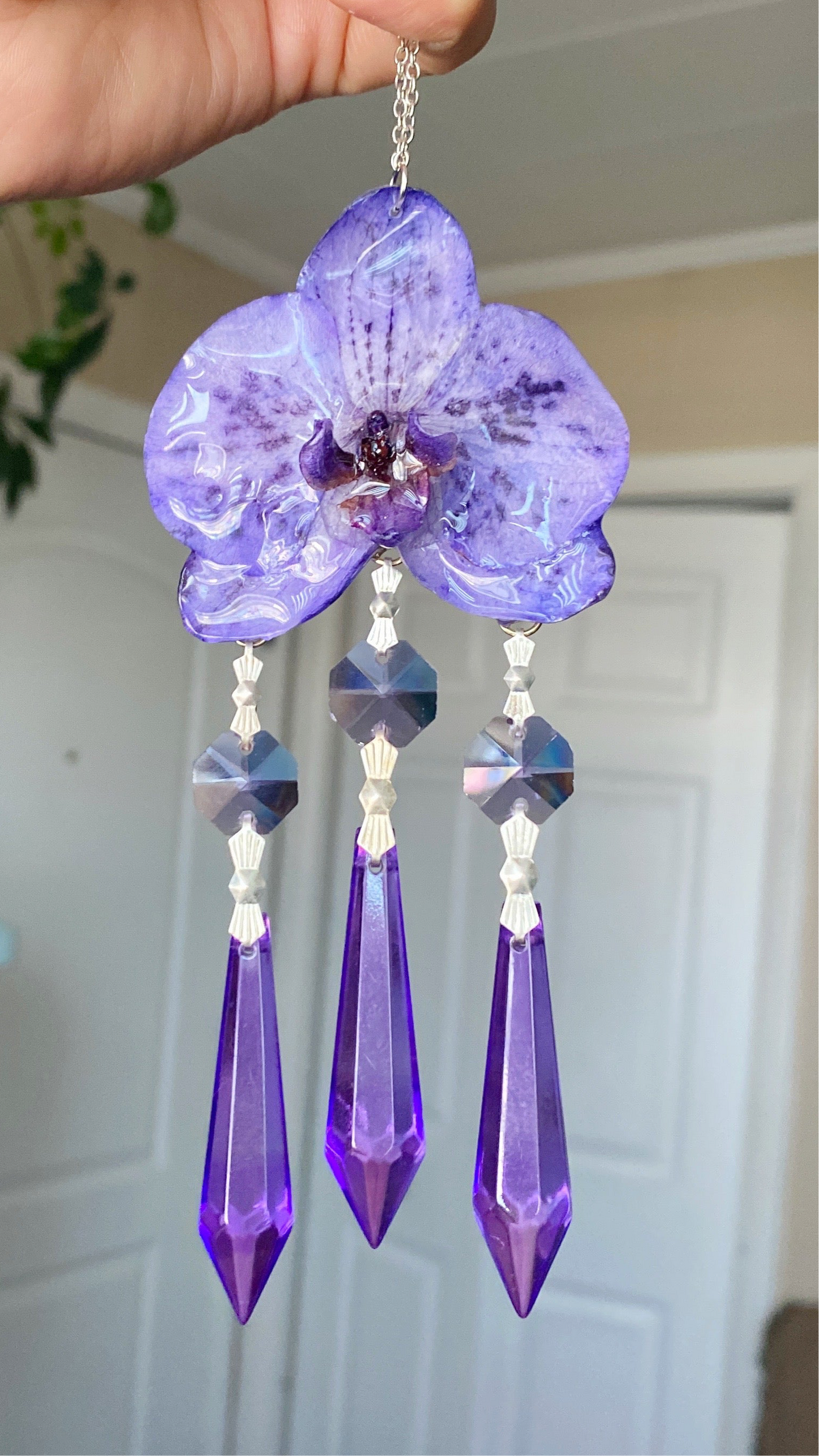 ☀️Orquídea sun catcher✨💜