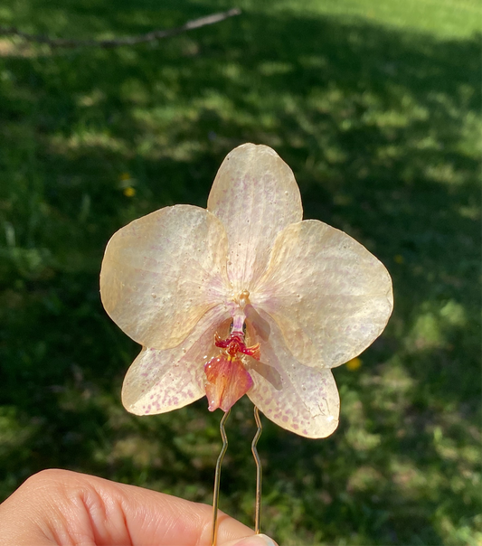 Orquídea hair pin