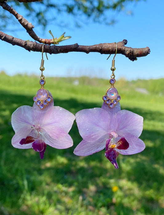 Orquídea dangles ✨💜