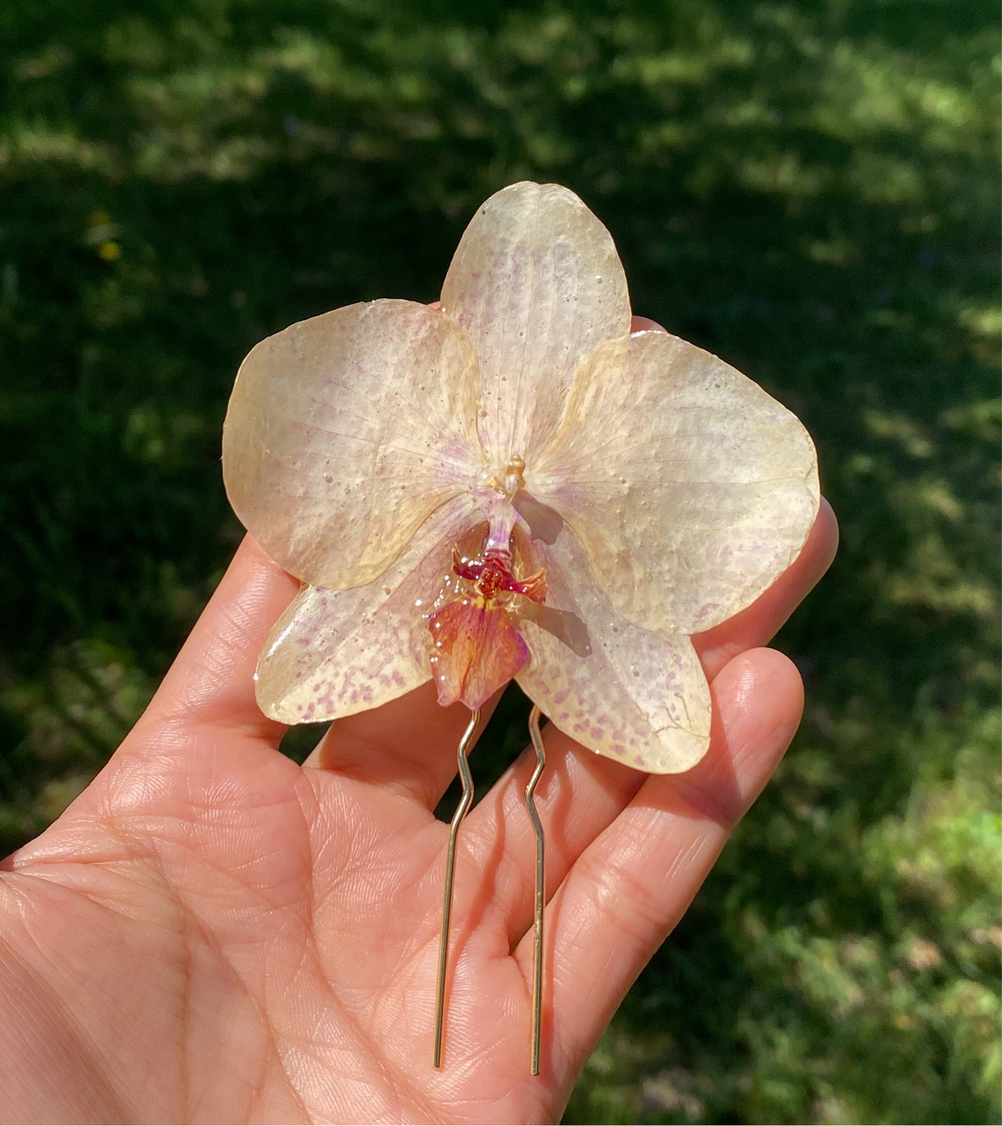 Orquídea hair pin