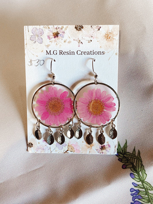 Pink Daisies