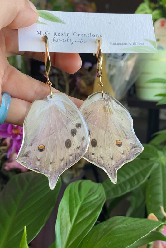 Mother-Of-Pearl Butterfly